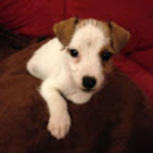 Meet your Posher, Milton